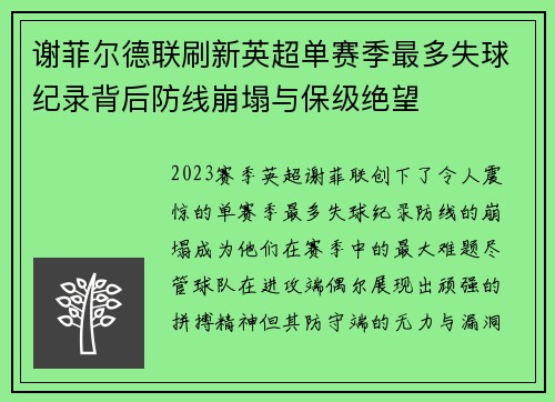 谢菲尔德联刷新英超单赛季最多失球纪录背后防线崩塌与保级绝望
